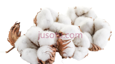 棉花,cotton PNG