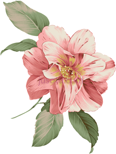 花,flower bucket PNG