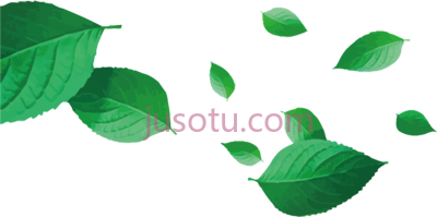 茶叶,tea leaves PNG