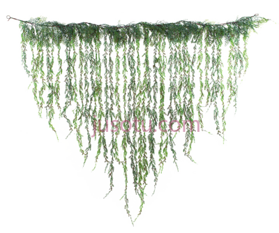 丛林藤蔓悬挂,jungle vines hanging PNG