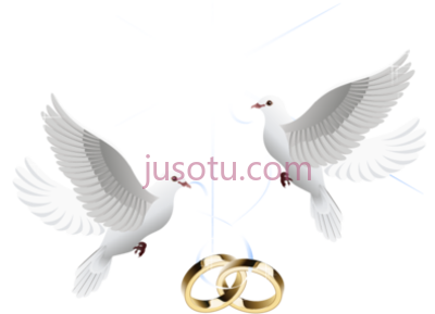 爱情鸟鸽子戒指,love birds wedding doves rings PNG