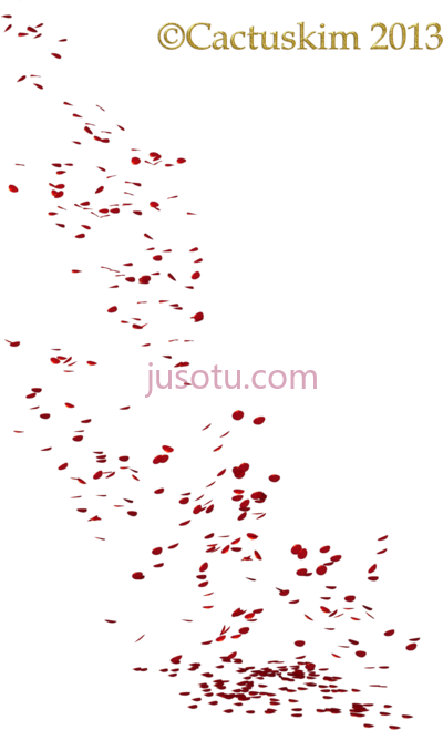 花瓣飘落,flowers rain falling petals PNG