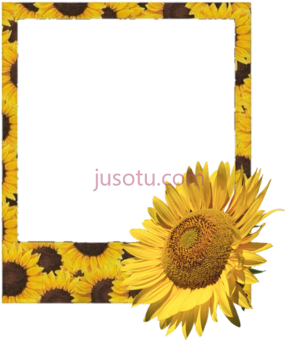 向日葵花镜框,polaroid frame flower sunflower sunflowers PNG