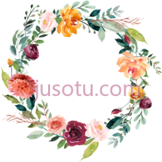 花环水彩,floral bridal shower decor PNG