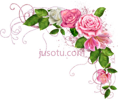 腮红花,blushbutter flower spray art PNG