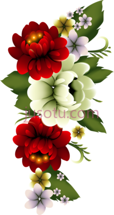 花束,装饰,植物 PNG
