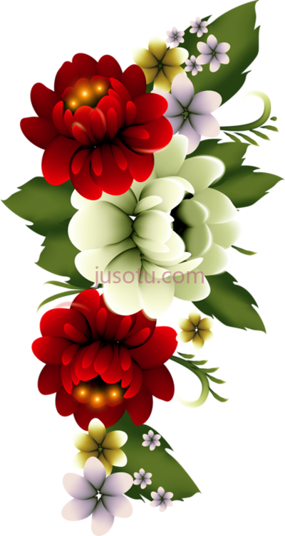 花束,flowers flores bloemen perfect floral bouquets PNG