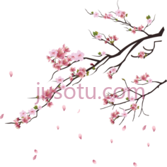 樱花树PNG