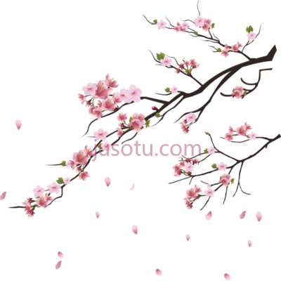 樱花树,cherry blossom tree PNG