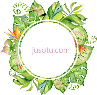 叶框,this hand painted original leaf frame PNG