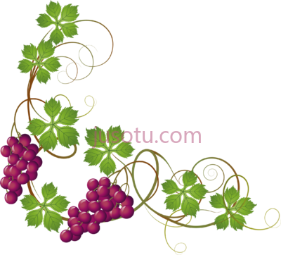 葡萄藤,grape vine PNG