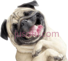 快乐狗微笑PNG