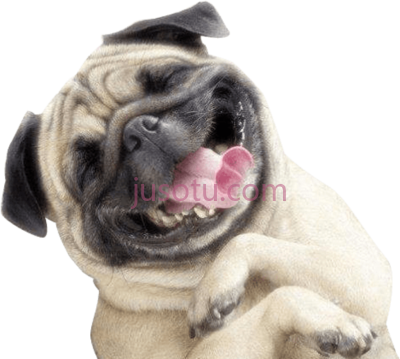 快乐狗微笑,happy dog PNG