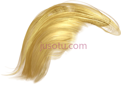特朗普头发,trump's hair donald trump PNG