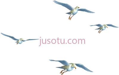 飞鸟,flying birds 07 by roys art on library PNG