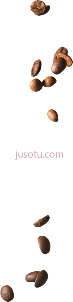 咖啡豆PNG