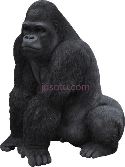 大猩猩,gorilla PNG