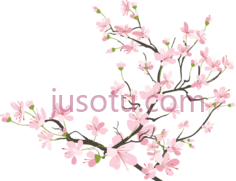樱花, PNG