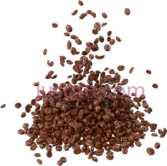 咖啡豆PNG