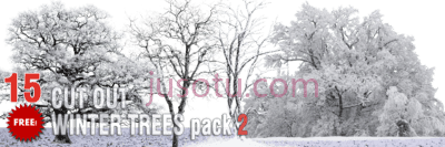 冬树木,winter trees pack PNG