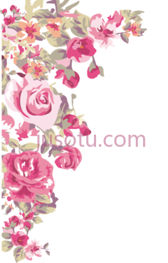 彩绘花卉PNG