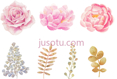 水彩花,watercolor flowers PNG