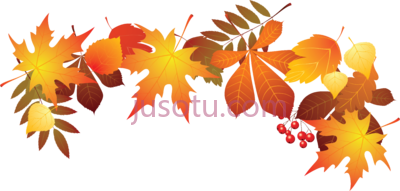 秋叶,world teachers day leaf autumn PNG
