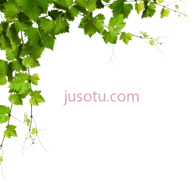 叶角,leaf corner PNG