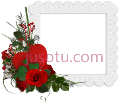 玫瑰花框,rose flower frames PNG