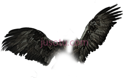 黑色翅膀,dark wings black PNG