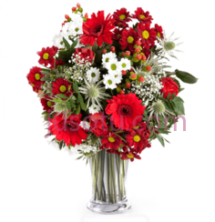 玫瑰野花,flower bokeh PNG