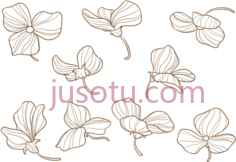 甜豌豆花,hand drawn flower PNG