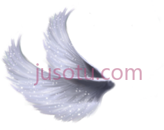 翅膀PNG