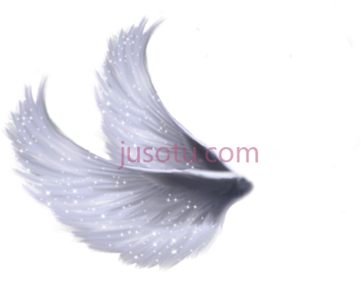 翅膀,wings PNG