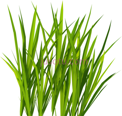 绿草,green grass art PNG