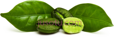 青咖啡豆,green coffee bean PNG
