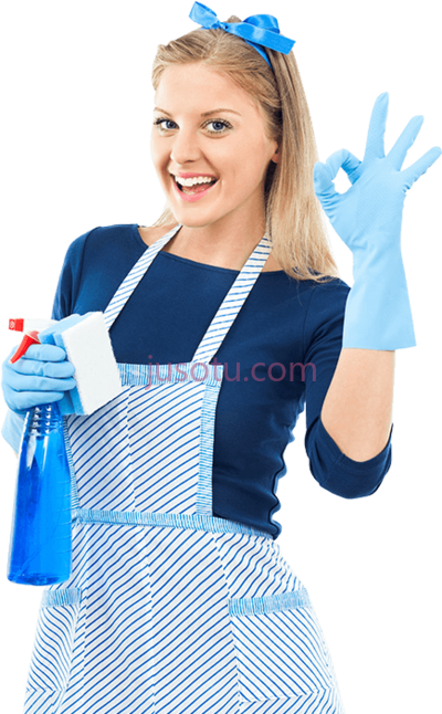 房屋清洁,house cleaning PNG