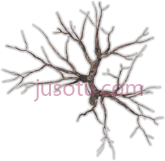 死树,winter PNG