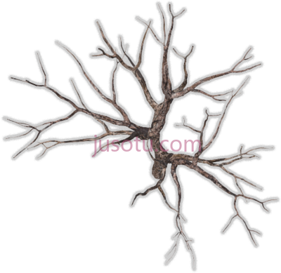 死树,tree dead PNG
