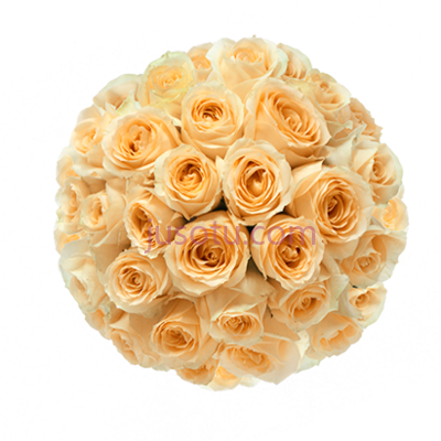 花束,flower vase PNG