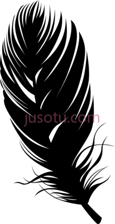 羽毛PNG