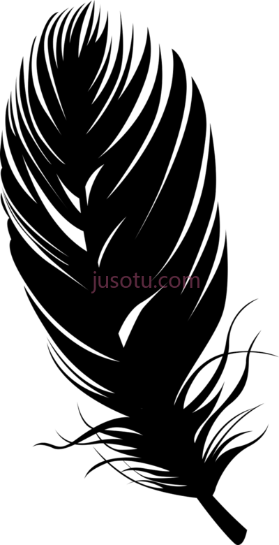 羽毛,feather silhouette PNG