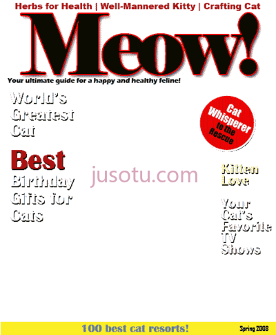 杂志封面,cat magazine cover PNG