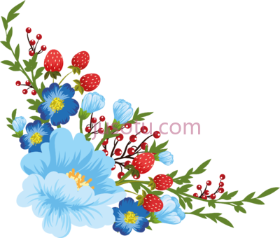 花朵,beautiful flowers PNG