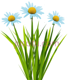 草花盛开PNG