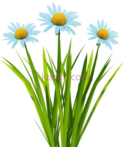 草花盛开,grass flowers animated PNG