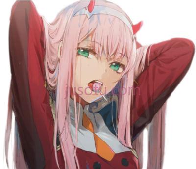 搭档杀手,zero two ii PNG