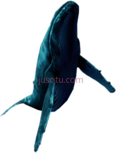 蓝鲸游动,blue whale swimming vaporwave tumblr PNG