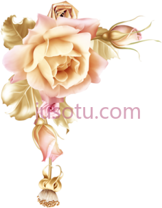 玫瑰粉红花,边框,框架,边缘,围框 PNG