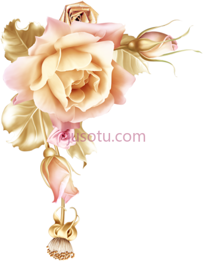 玫瑰粉红花,roses pink roze rosa borders and frames flower art PNG
